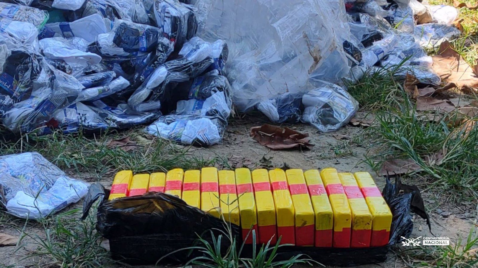 sorpresa y medias incautaron mas de 30 kilos de cocaina y marihuana en salta