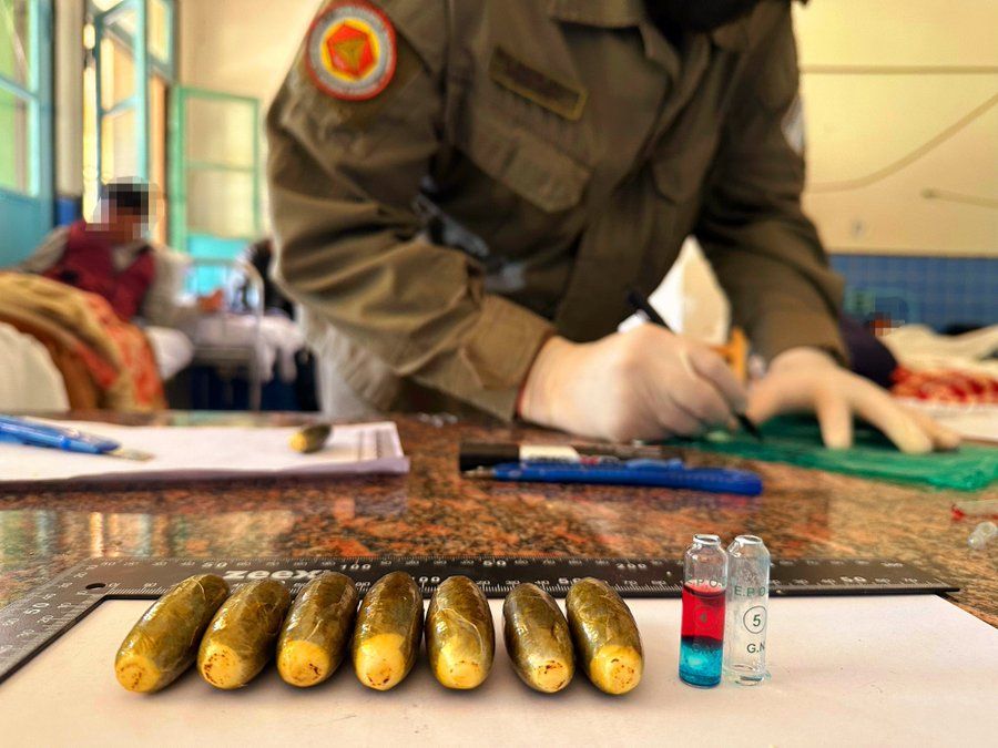 12 mulas bolivianas detenidas tenia cada uno 1 kilo de cocaina en su estomago