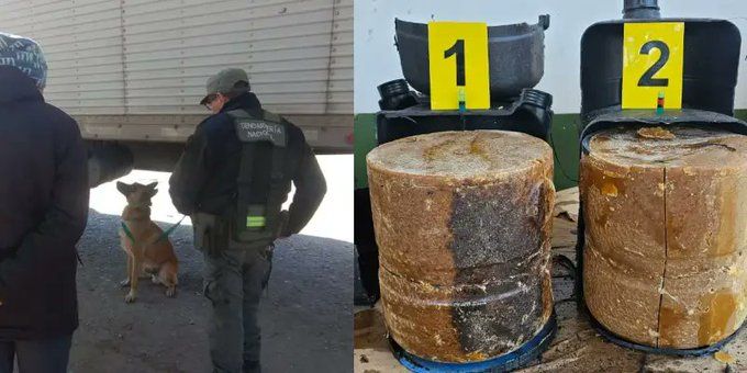 salta el perro antinarcoticos minos hallo 40 kilos de pasta base en un camion proveniente de bolivia