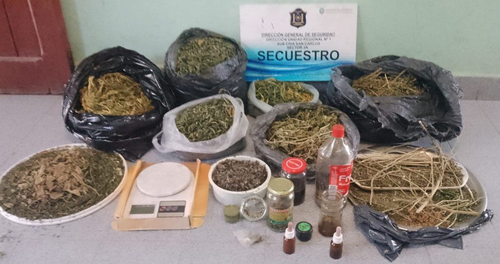 sorpresa 8000 dosis de drogas descubiertas durante una intervencion por violencia domestica