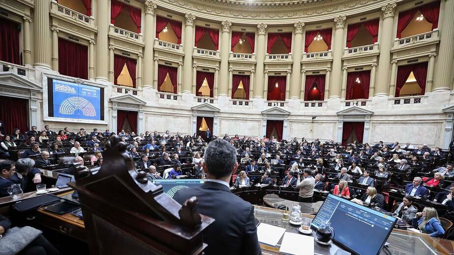 diputados rechazo el veto presidencial y convirtio en ley la emergencia pediatrica