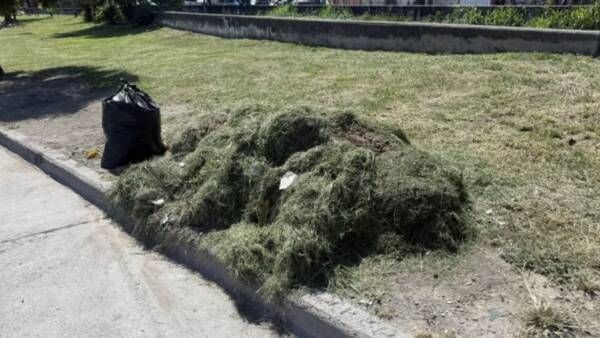 multan a un salteno por arrojar restos de poda junto a un canal pluvial en barrio san antonio