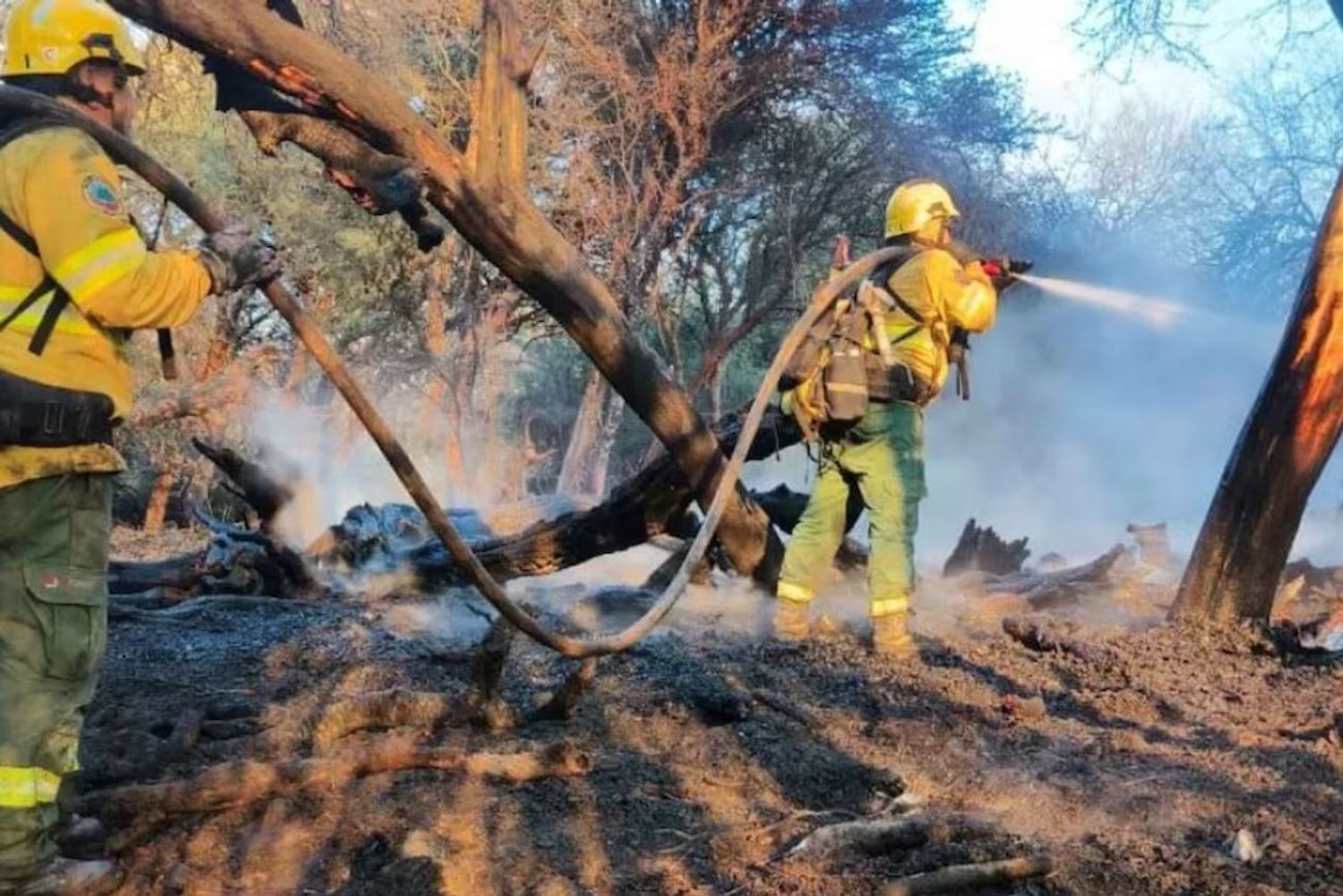 salta en alerta por incendios forestales el riesgo se mantiene en nivel muy alto