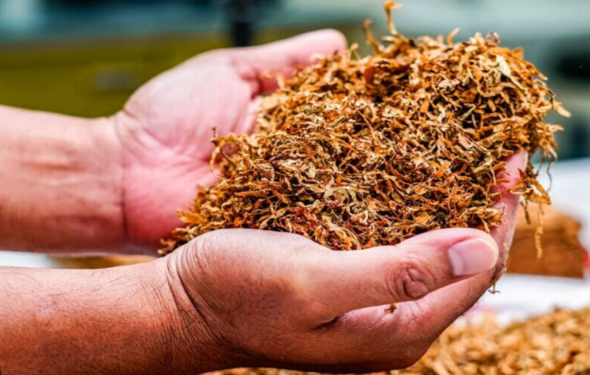 la ley de impuesto al tabaco ira por fuera de la ley de bases