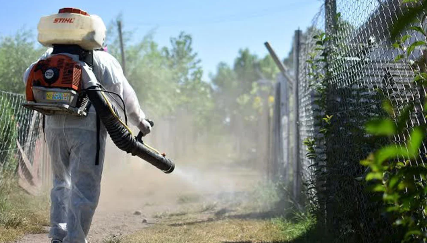 supermosquitos el efecto contraproducente de las fumigaciones segun el conicet