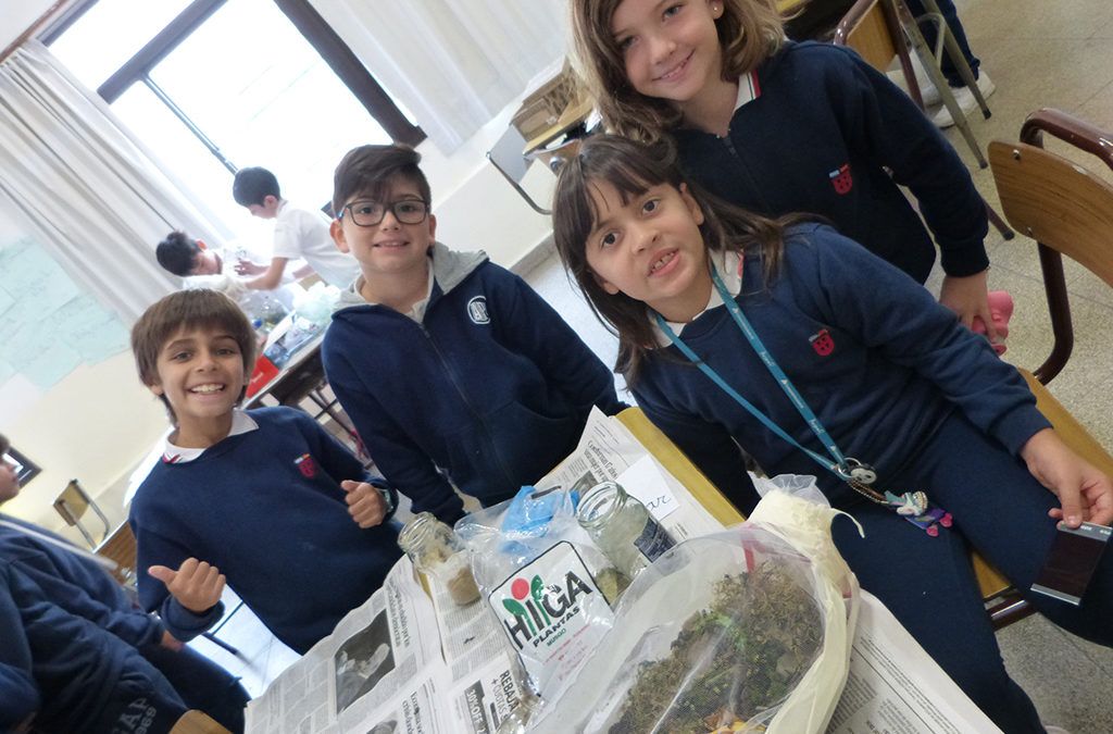 para evitar las picaduras de mosquitos educacion autorizo el uso de ropa adecuada