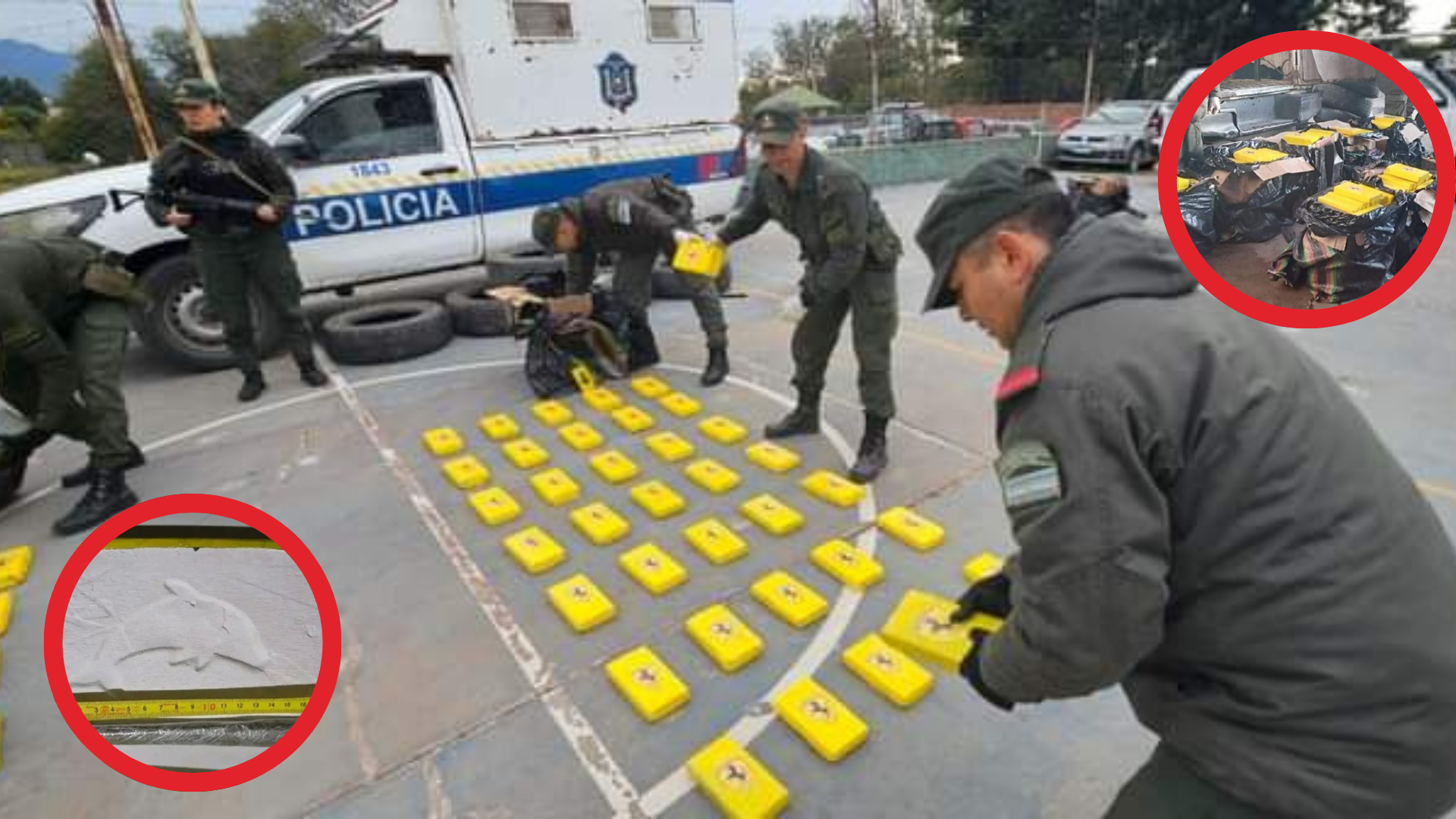 el vinculo de los narcopolicias y el delfin castedo