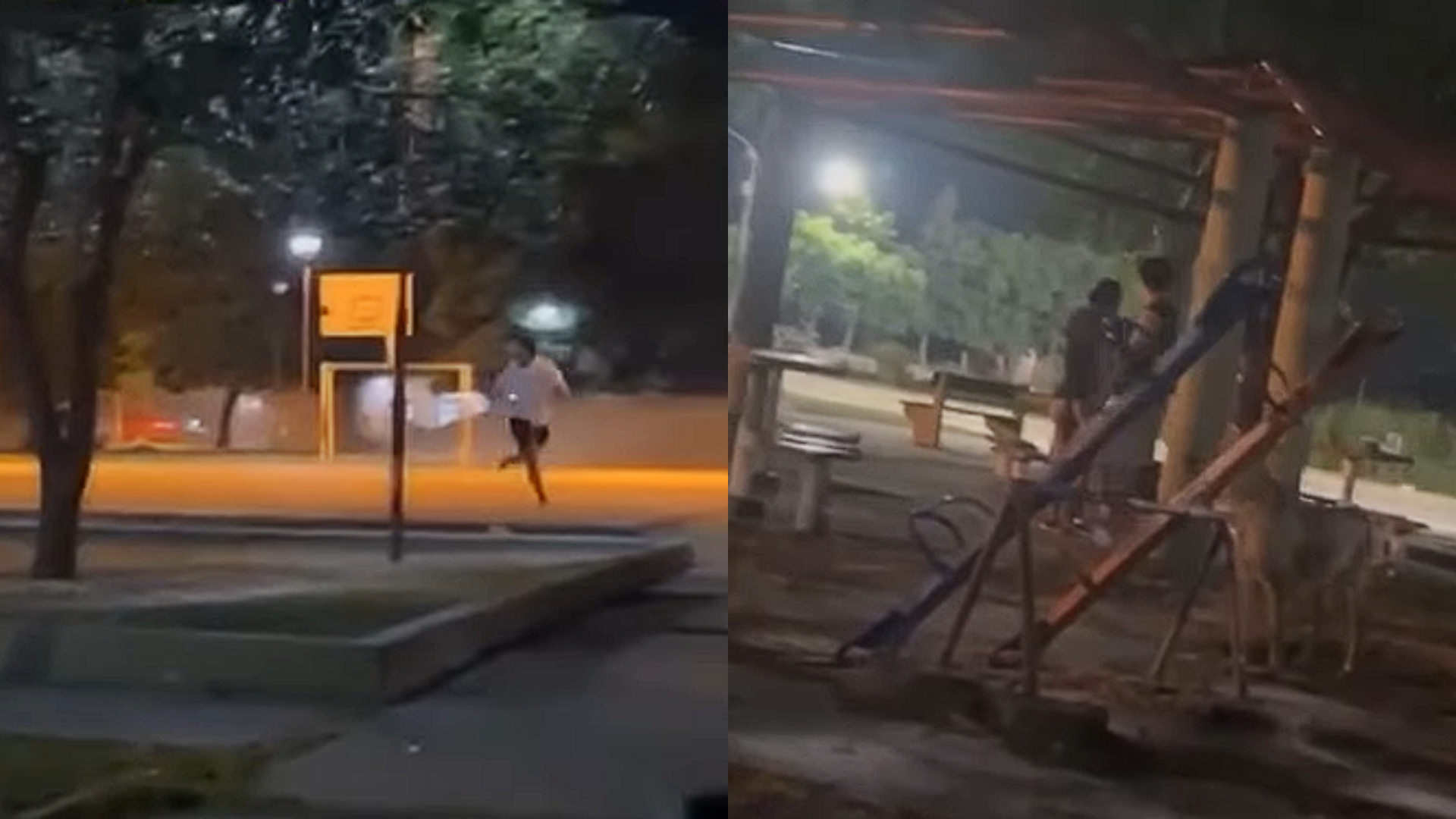 video viral vecino persiguio y golpeo a un ladron