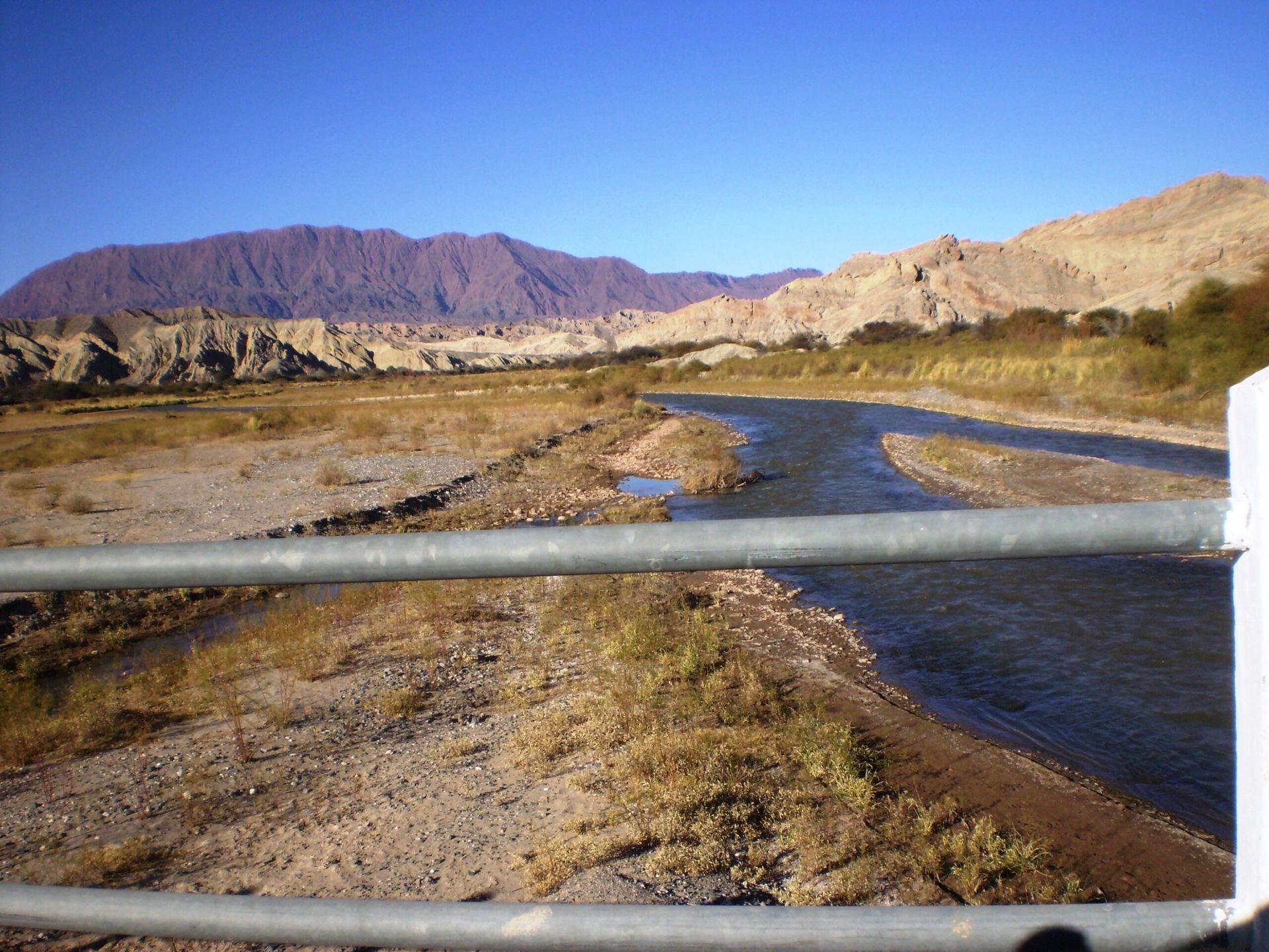 buscaban a sus animales en el rio pero encontraron un cadaver en descomposicion