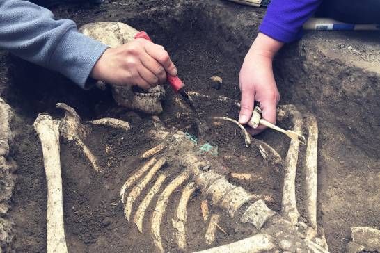 salvador mazza desagradable sorpresa estaban excavando y encontraron huesos humanos