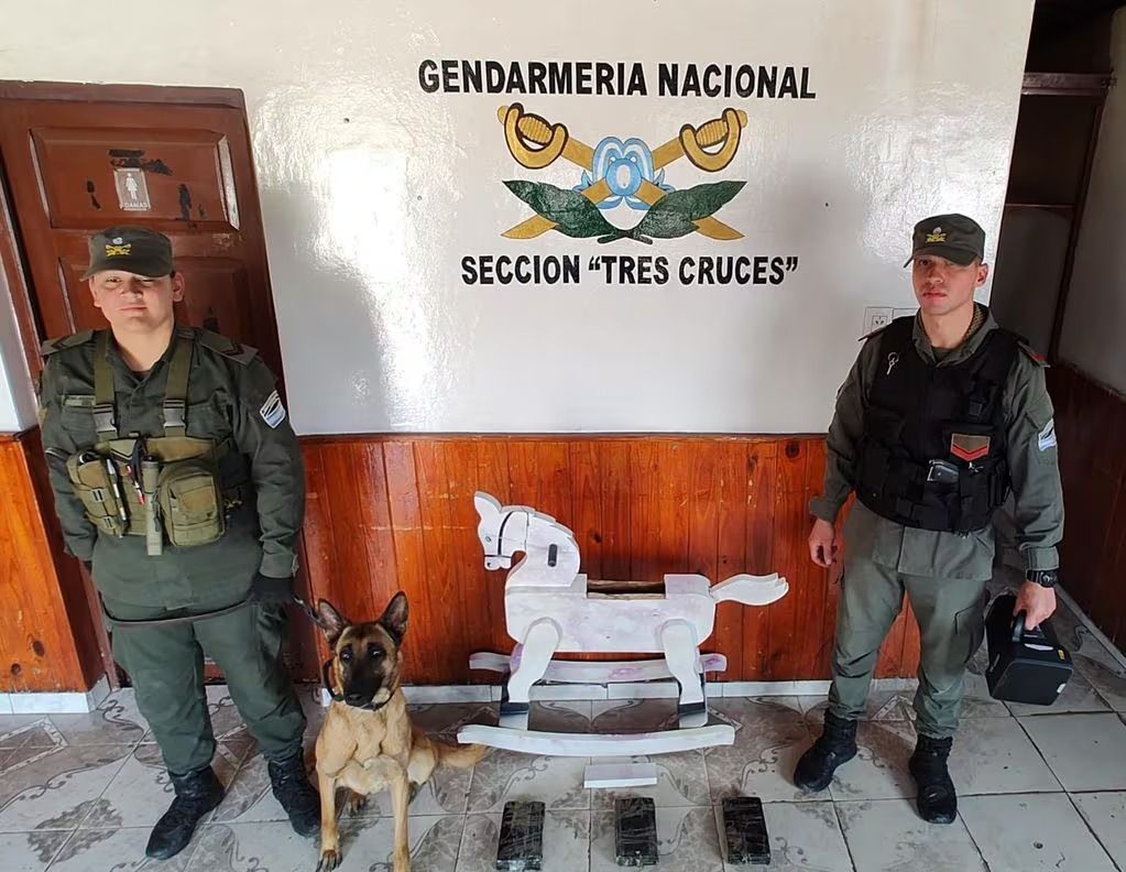 jujuy operativo troya una perrita descubrio 3 kilos de cocaina en un caballo de madera