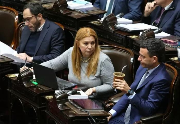 escandalo en diputados por la ley bases calmate ridicula toma un rivotril video