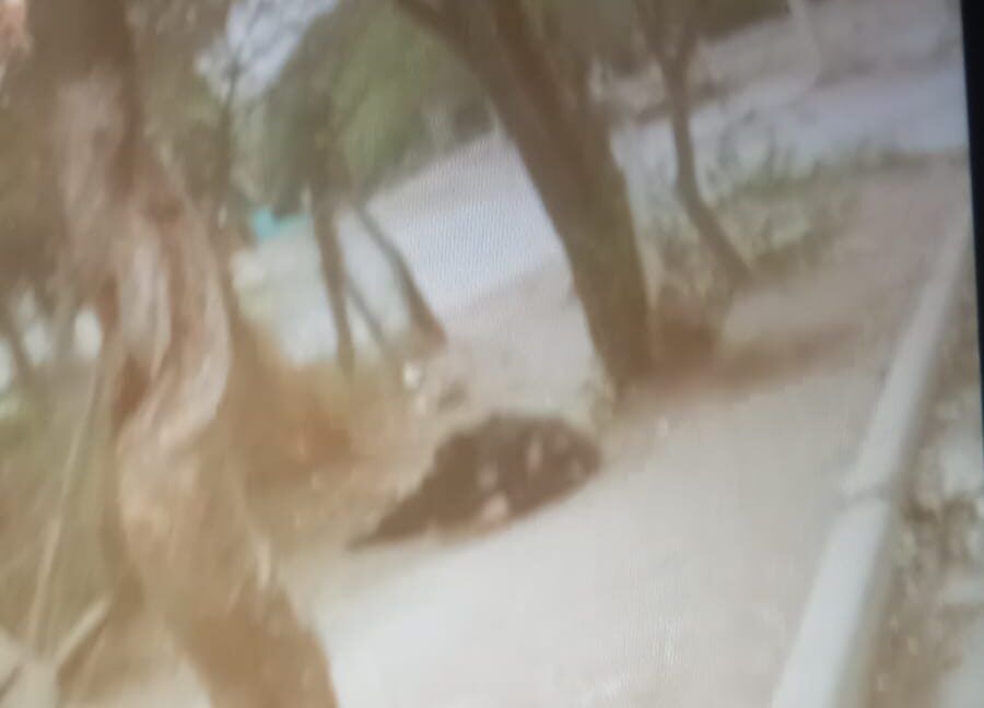 filman a un policia salteno borracho y dormido en la vereda