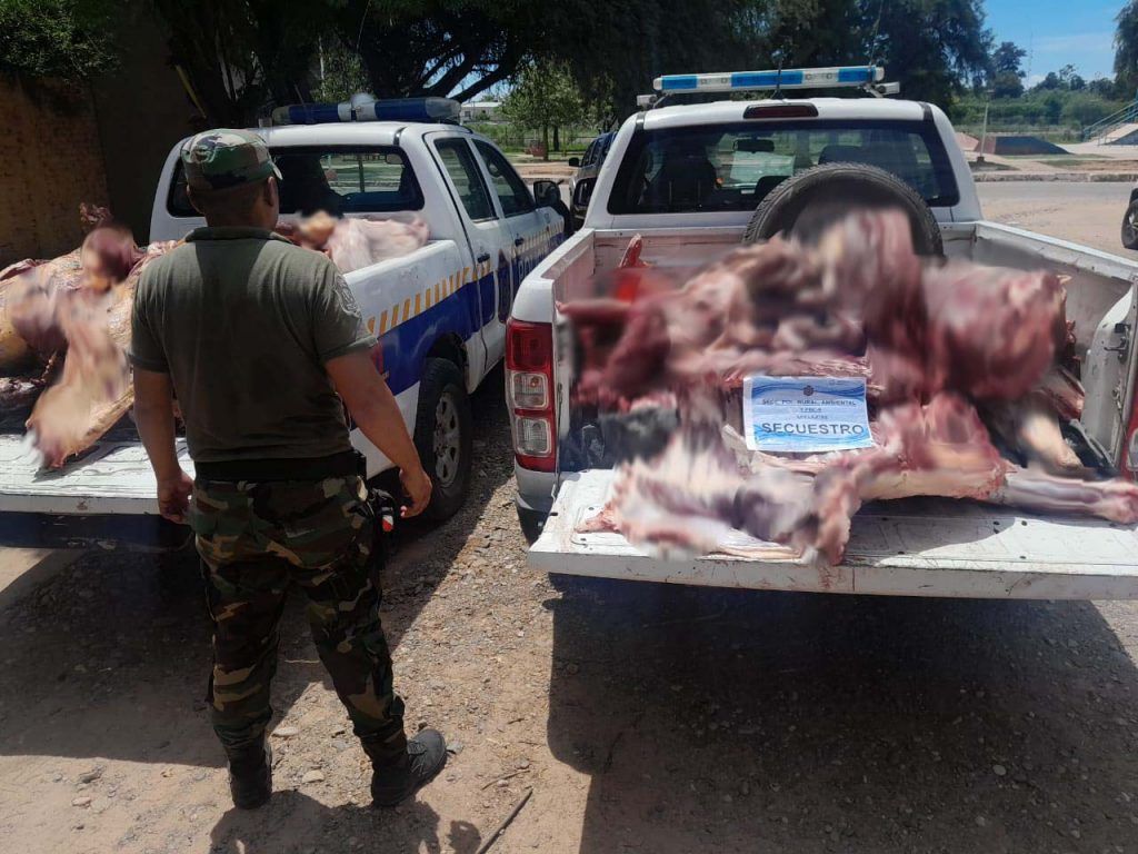 decomisan mas de 1 000 kilos de carne en mal estado en las lajitas y apolinario saravia