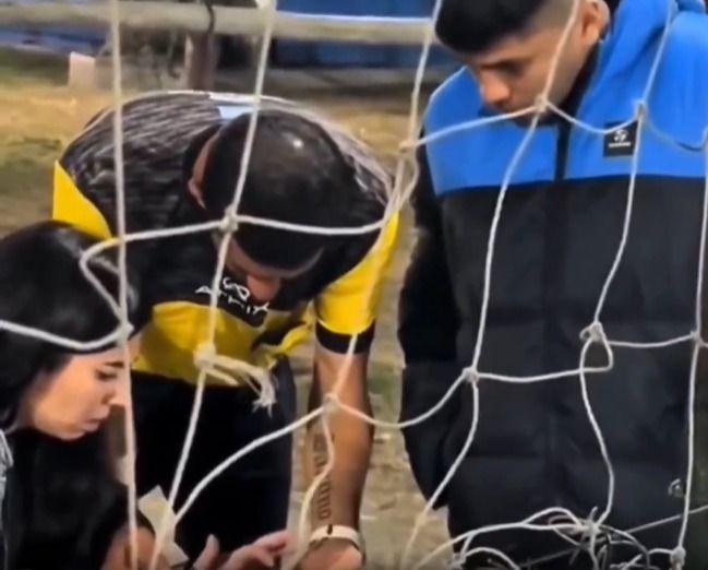 picardia saltena var casero futbol celular y una jueza improvisada video