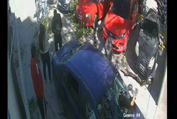 viento zonda una rama gigante destruyo el parabrisas de un auto que salia de un estacionamiento video