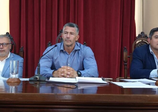 impulsan ley para la esquila sustentable de vicunas y el desarrollo economico en la puna