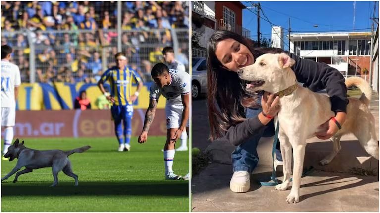 la increible historia de coco el perro que interrumpio el partido de rosario central y se volvio viral