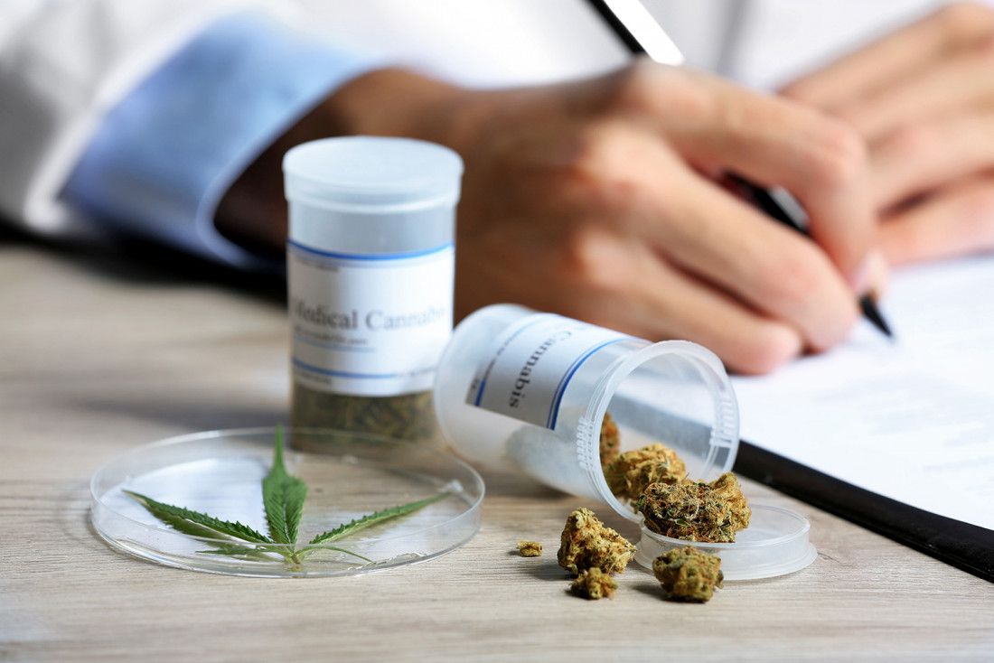 cannabis medicinal salta puso en marcha su registro provincial