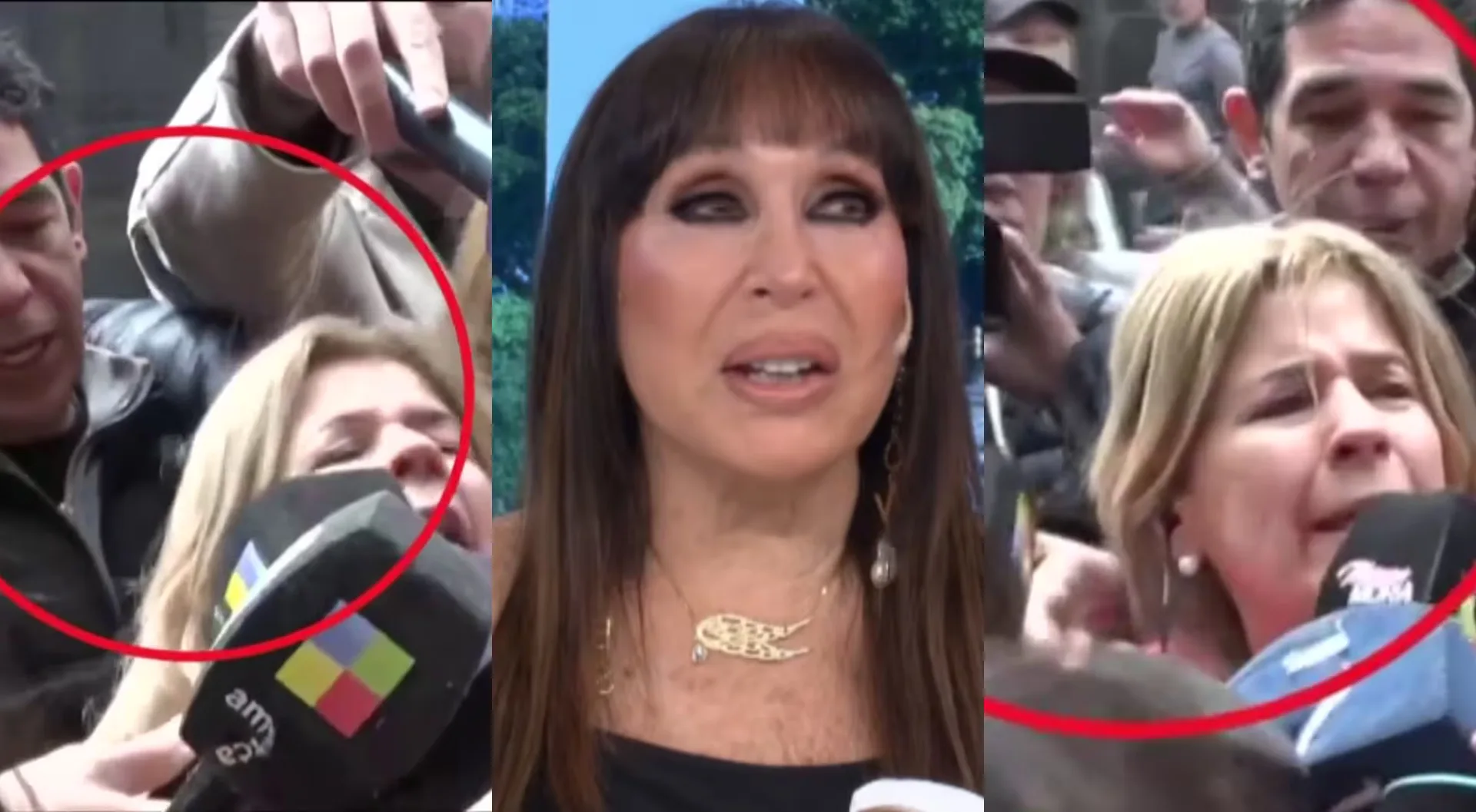 Agredieron a la cronista Mercedes Ninci en vivo y Moria Casán estalló: "Es un acto absoluto de violencia"
