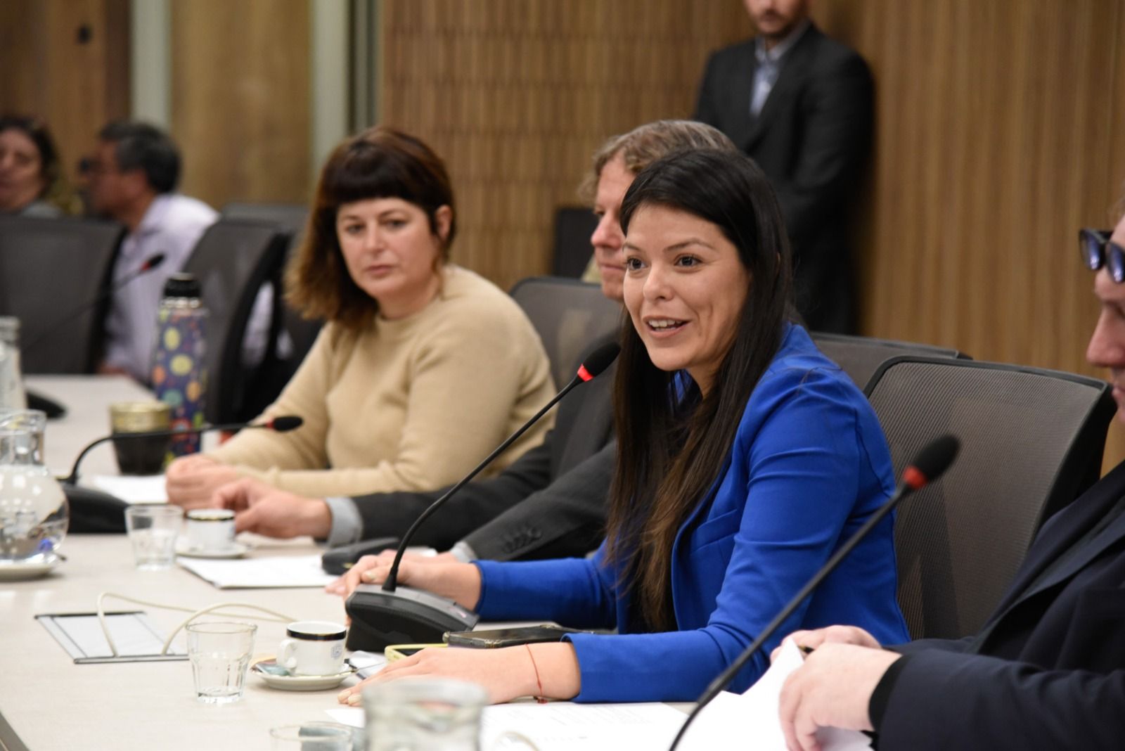 diputada emilia orozco denuncian un ano de inactividad en el congreso