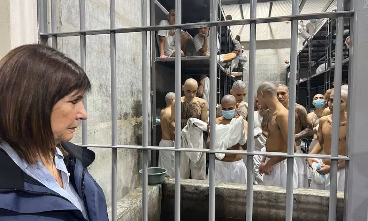 adorni argentina busca seguir el ejemplo de bukele en seguridad video