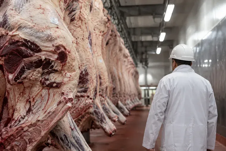 cae el consumo de carne y advierten que los precios seguiran presionados durante varios anos