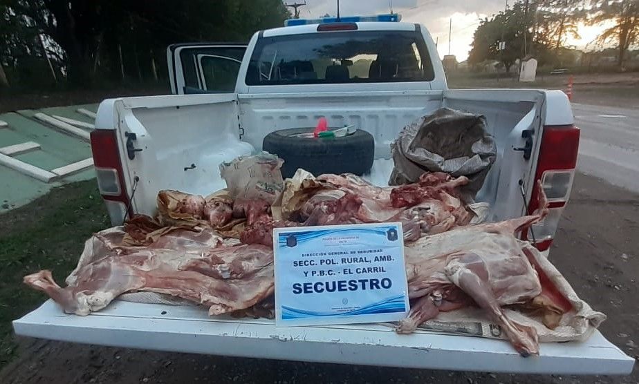 pese a las recomendaciones siguen trasladando carne sin cadena de frio