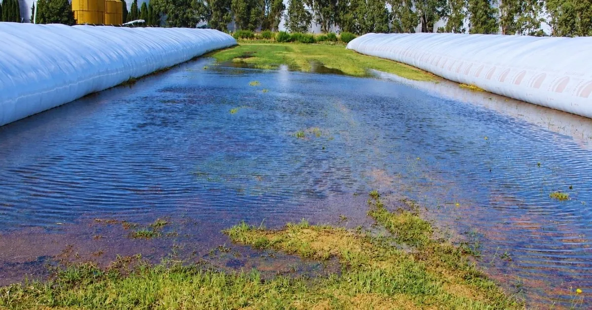 Cómo preparar los silobolsas para que El Niño no arruine la cosecha guardada