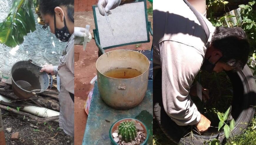 suman 22 mil los casos confirmados de dengue en la provincia insisten con el autocuidado