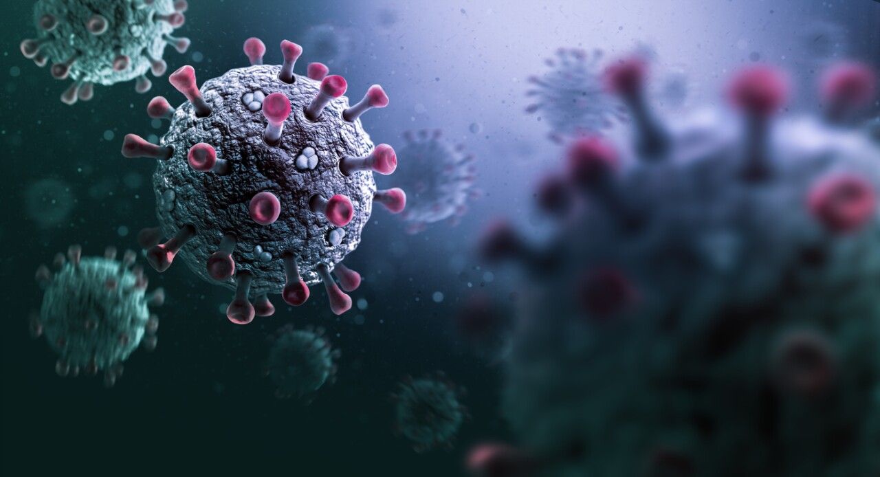 alerta por la super gripe h3n2 especialistas anticipan su llegada a salta a comienzos de 2026