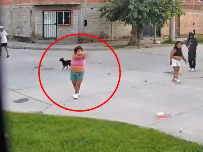 detuvieron a la pistolera de villa san antonio le secuestraron el arma