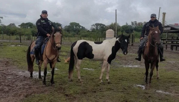 Efectivos del Departamento Caballería de la Policía de Salta con equinos secuestrados