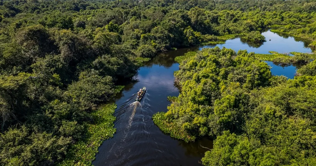 El Pantanal, el humedal brasileño que eligió Leonardo DiCaprio para sus vacaciones