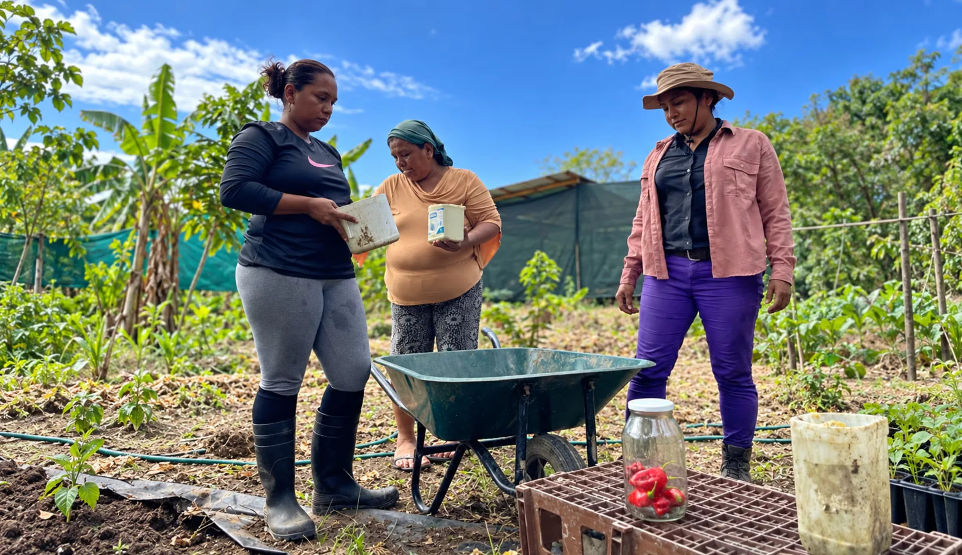 En Costa Rica, el agua les saca el alimento a las comunidades indígenas y las mujeres truequean semillas para resistir