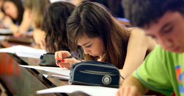 argentina sigue con bajo nivel en matematica lectura y ciencias segun pisa 2022