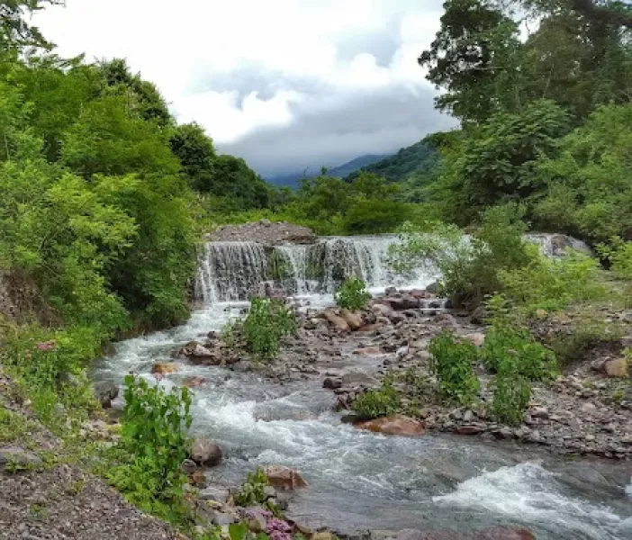 Finca Las Costas: el Comité de Gestión pidió al ENRESP controlar los suministros eléctricos en la reserva