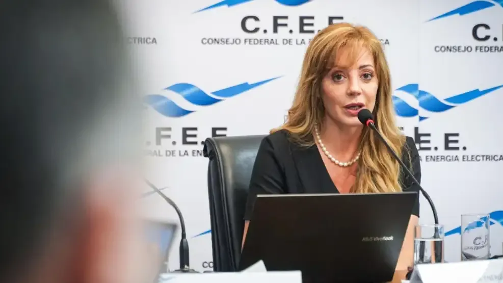 flavia royon no es caos mileista o corrupcion k la salida viene desde las provincias