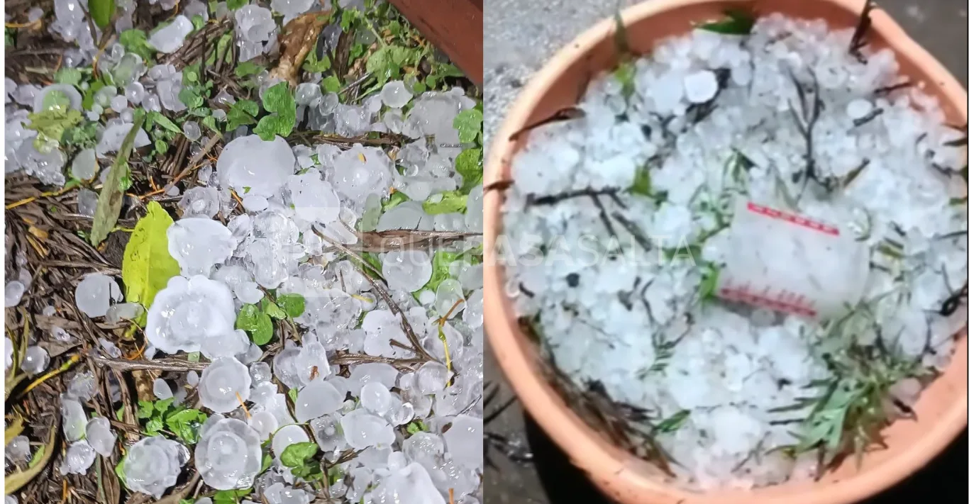 Granizada en Salvador Mazza: el norte salteño quedó cubierto de blanco