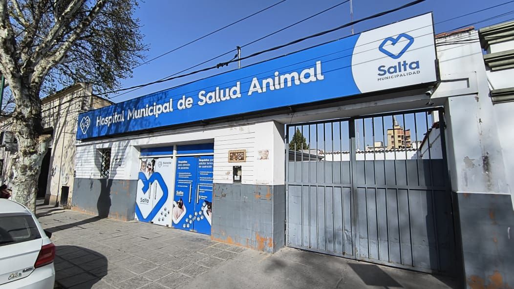 fumigan el hospital de salud animal y el centro de adopciones sin atencion este sabado