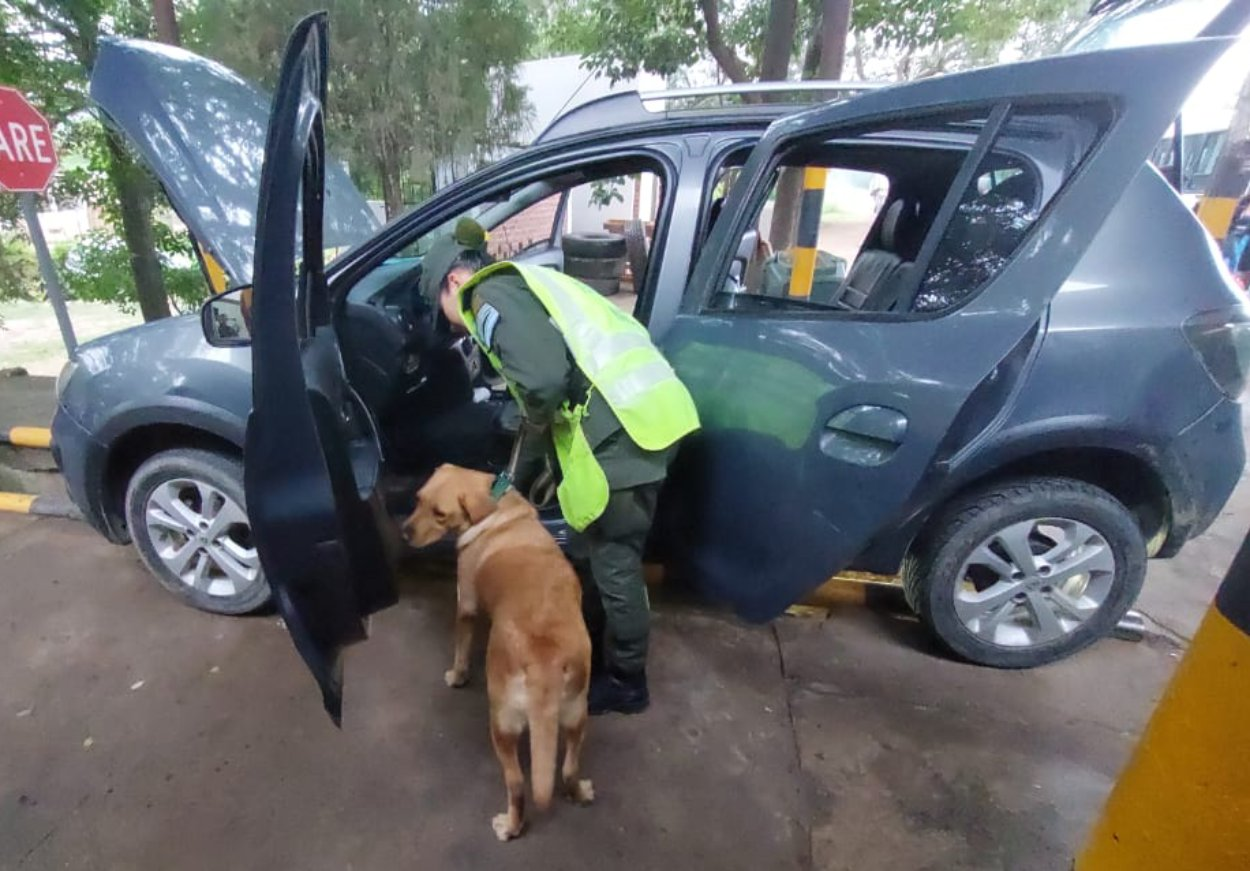 aguaray un can antinarcoticos encontro 64 kilos de cocaina en el techo de un auto