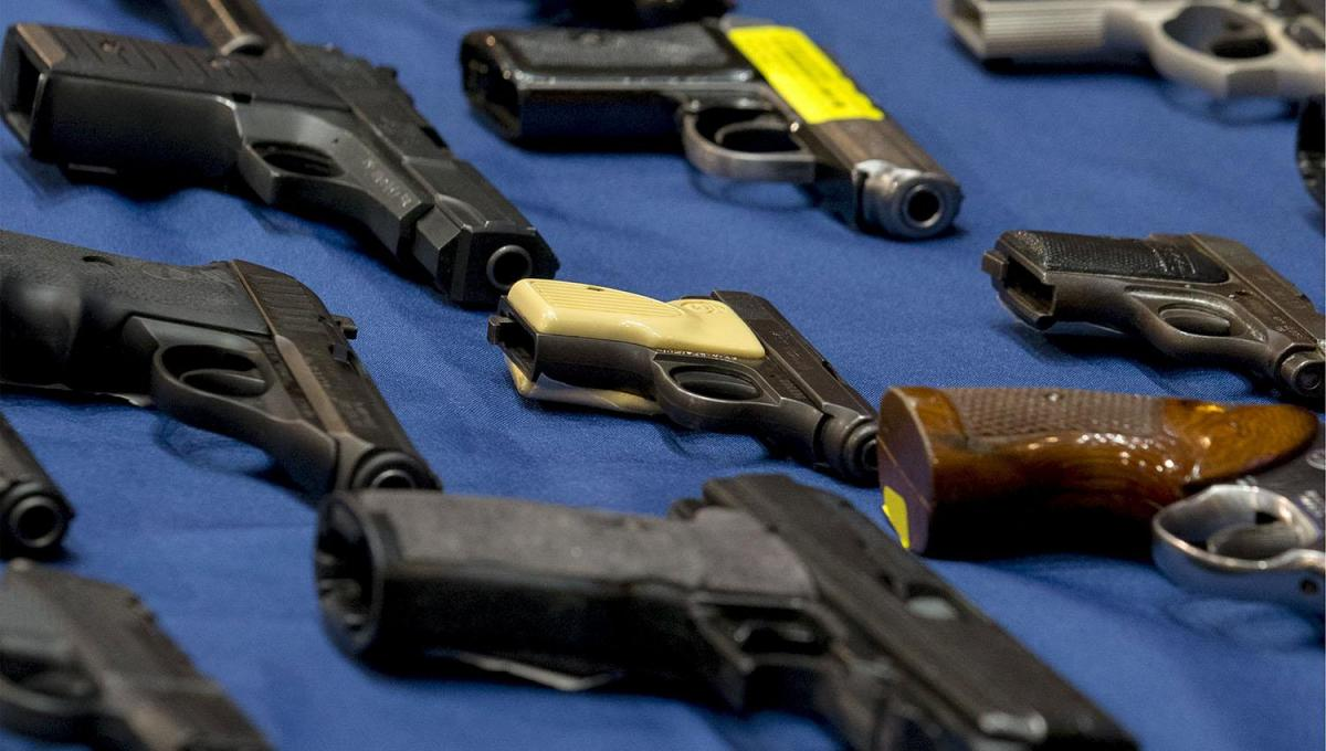 milei envio un proyecto al congreso para regularizar la tenencia de armas