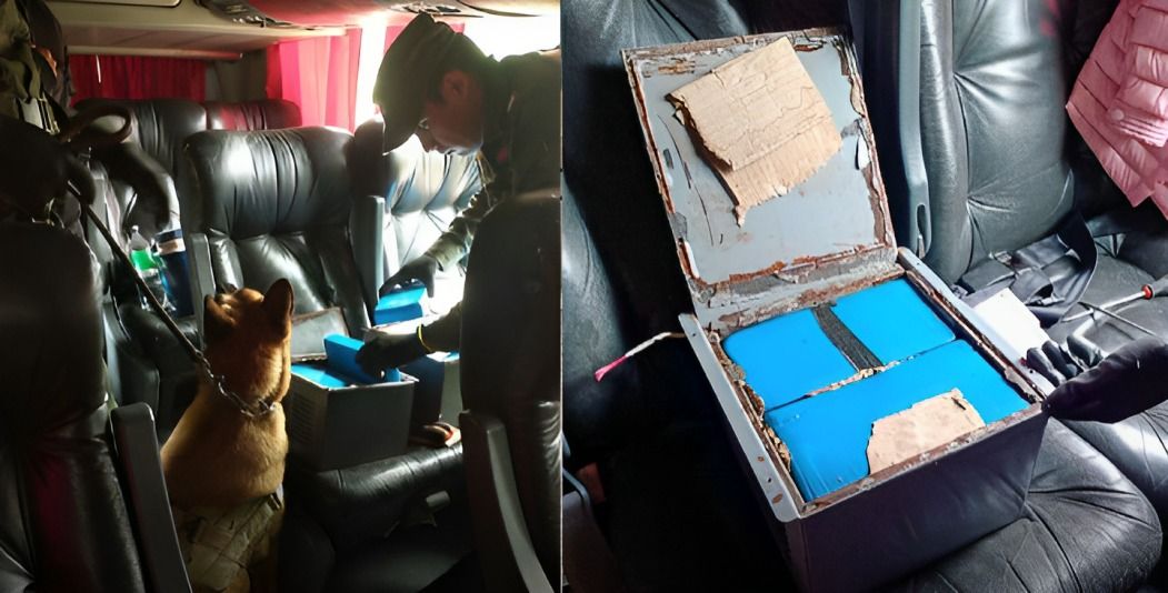 colectivo lleno los agarraron con 25 kilos de cocaina