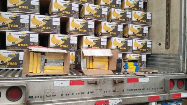 salta detienen a conductor de un camion que oculto 50 kilos de cocaina entre cargamento de bananas
