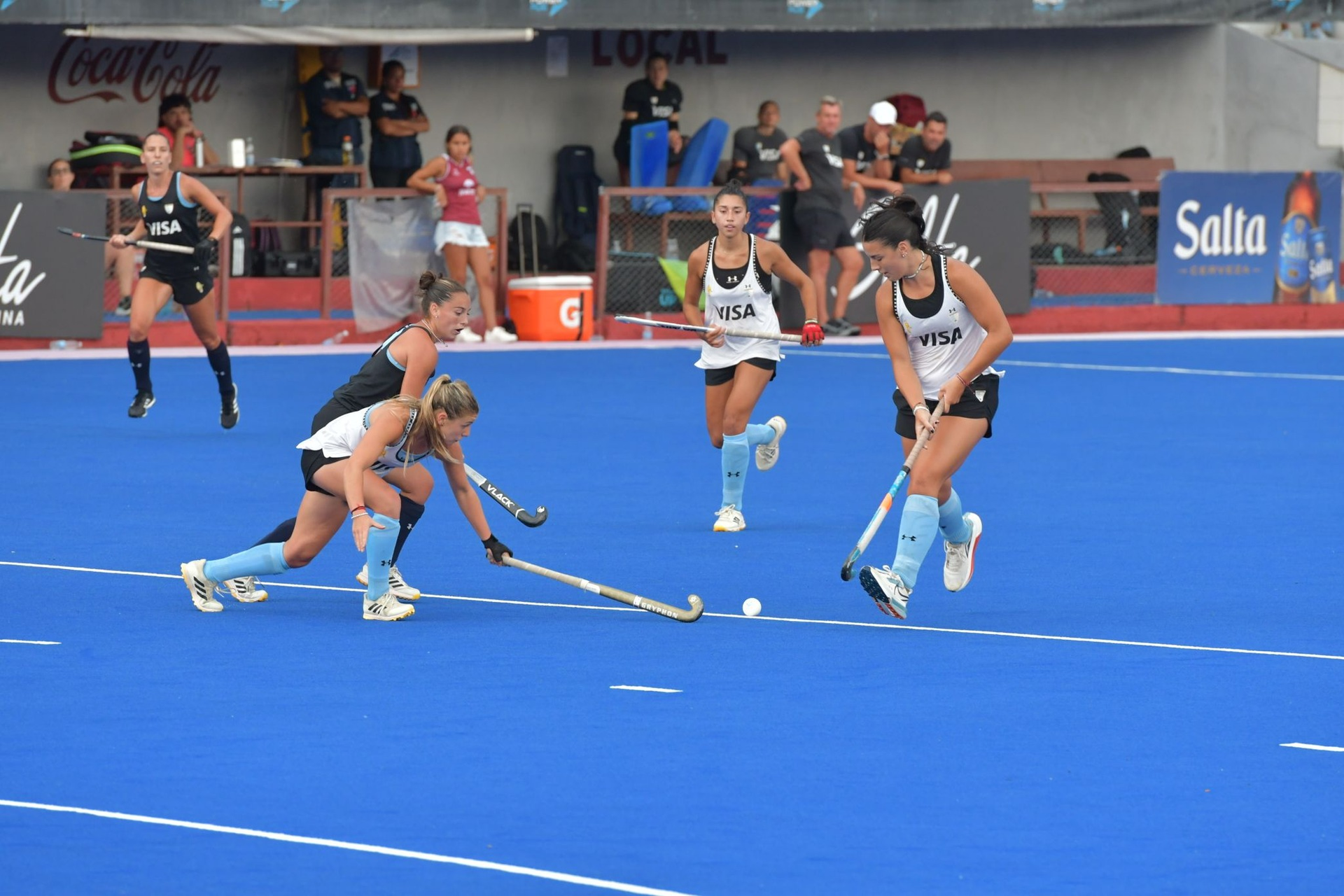 las leonas se intoxicaron en salta presentaron cuadros de gastroenteritis