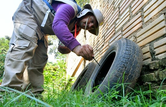 comenzo un relevamiento en los barrios para identificar criaderos de dengue