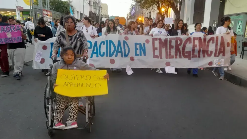 el senado provincial citara a legisladores nacionales por el conflicto en discapacidad