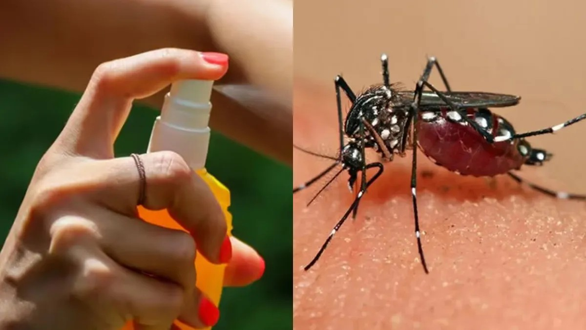 en pleno aumento de casos de dengue escasean espirales repelentes de mosquitos y aerosoles