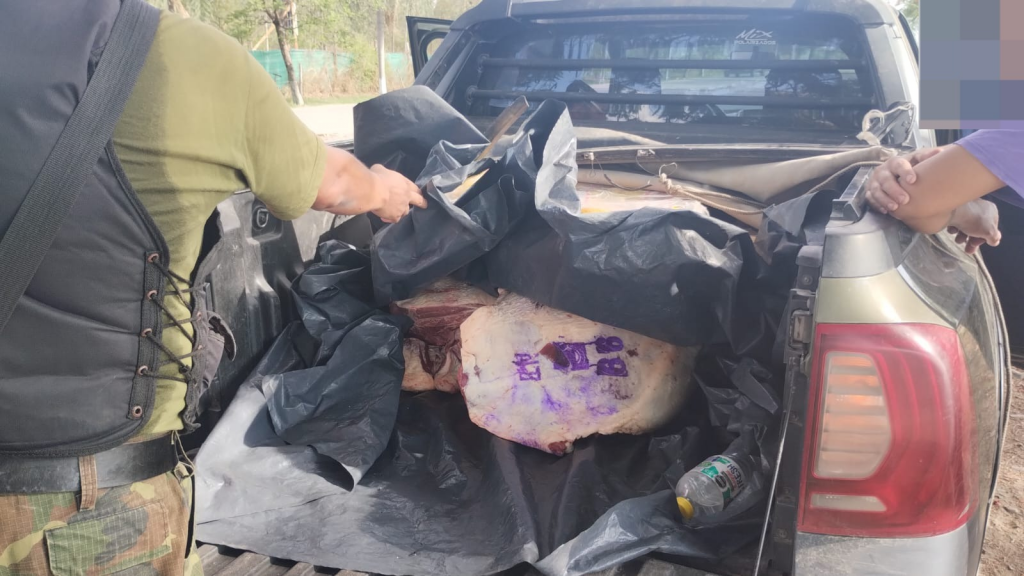 oran un asco transportaban carne sin cadena de frio con mas de 40 de calor y pleno brote de salmonella