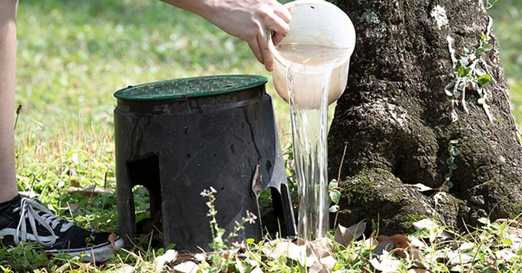 aseguran que las lluvias en salta extenderian la permanencia del del dengue